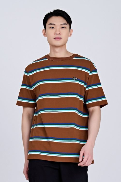 (B) Boxy-fit Multi-colour Stripes Tee - Stripes Brown