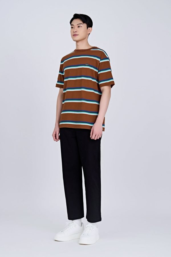 (B) Boxy-fit Multi-colour Stripes Tee - Stripes Brown